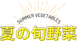 SUMMER VEGETABLES 夏の旬野菜